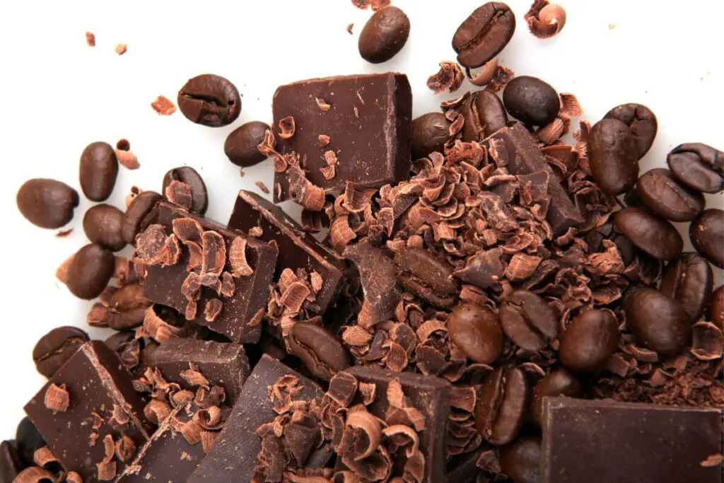 Chocolate Covered Coffee Beans