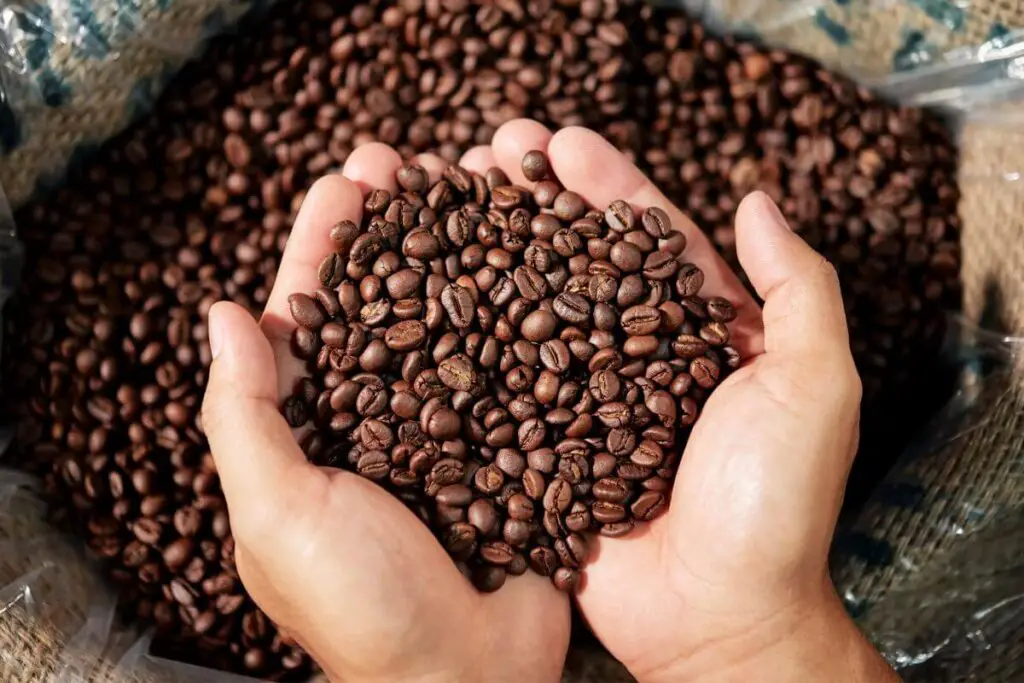 Difference between espresso beans and coffee beans