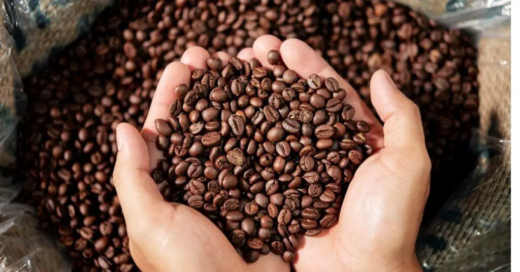 Coffee Beans With Most Caffeine