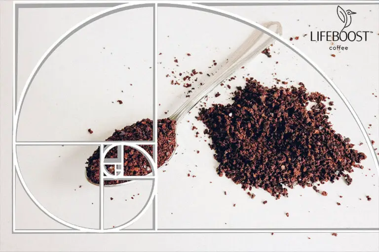 How Many Beans Per Cup of Coffee: The Golden Ratio Revealed