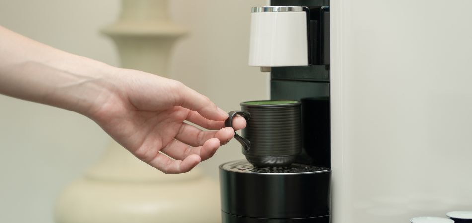 how to clean a bunn coffee maker