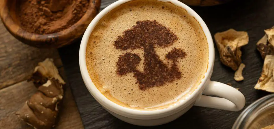 Mushroom Coffee vs. Mushroom Supplements