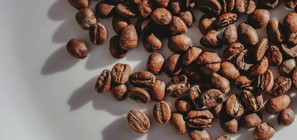 Types of Coffee Beans