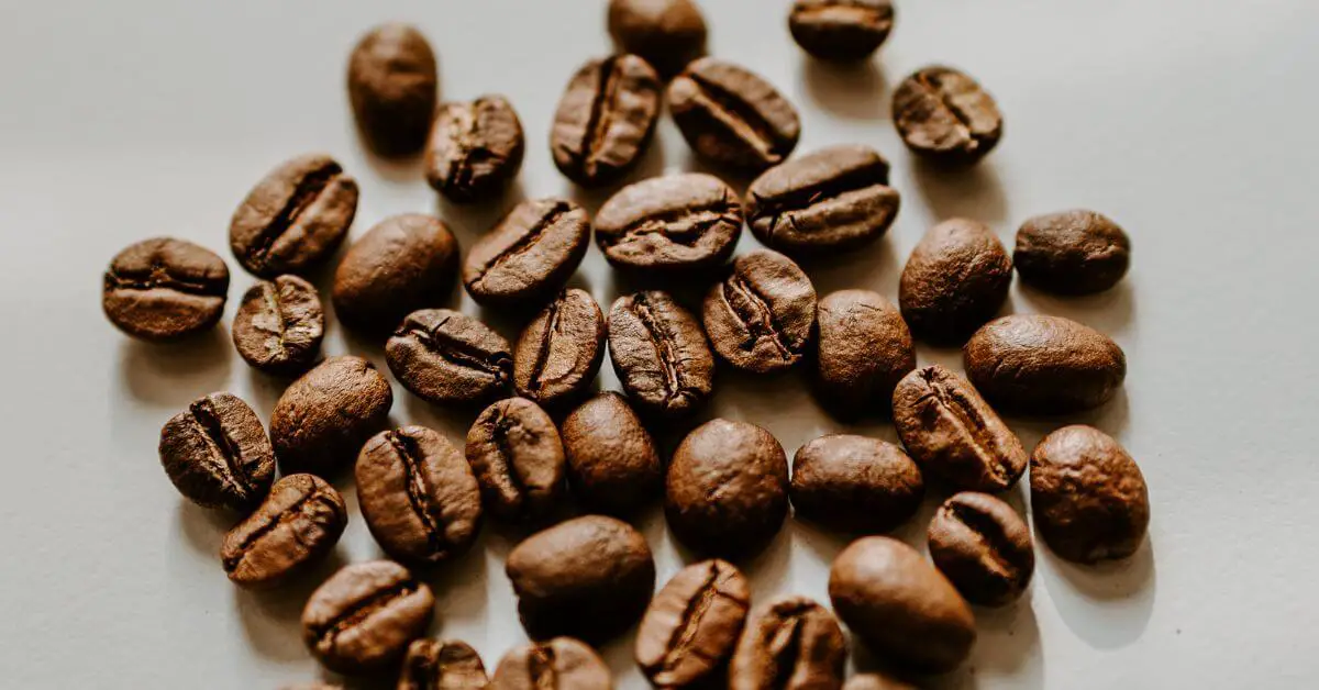 Types of Coffee Beans