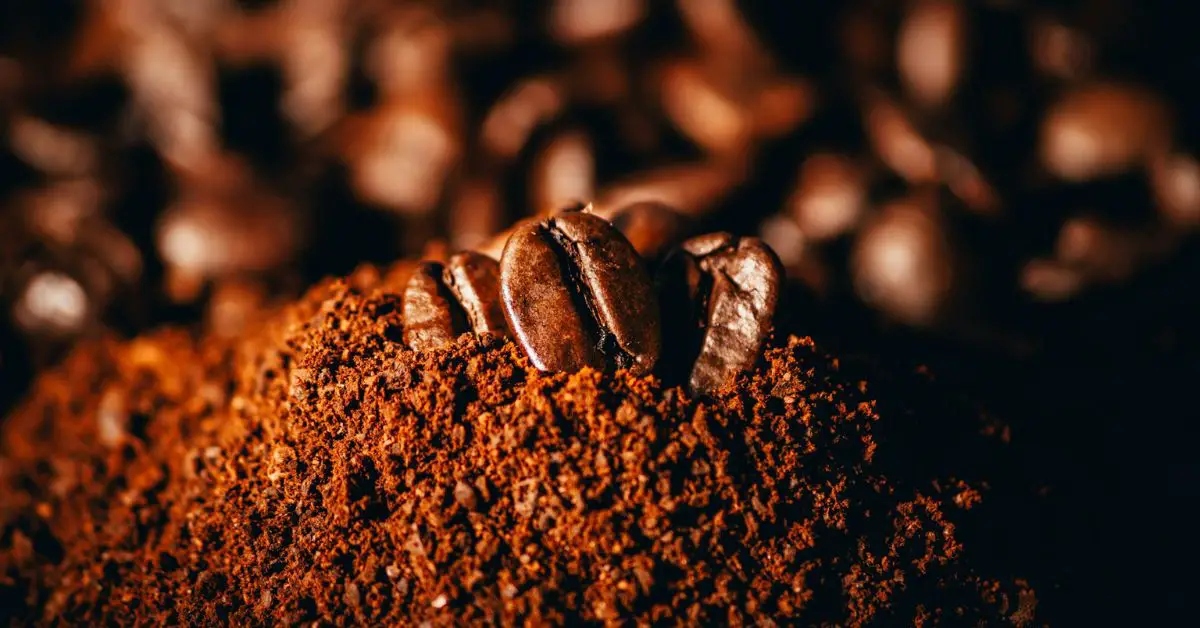 coffee beans with cocoa