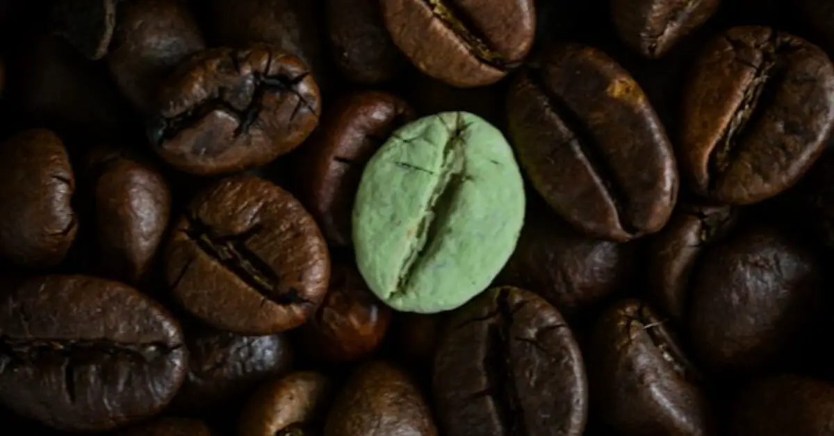 green coffee beans