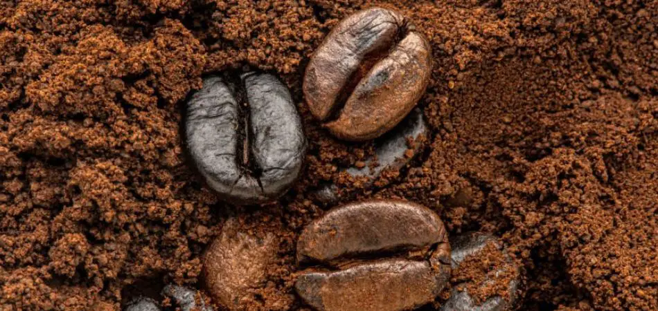 Ground Vs Whole Bean Coffee