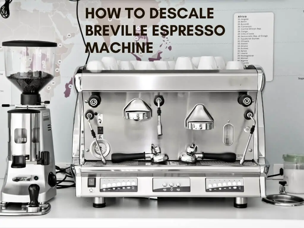 How to Descale Breville Espresso Machine