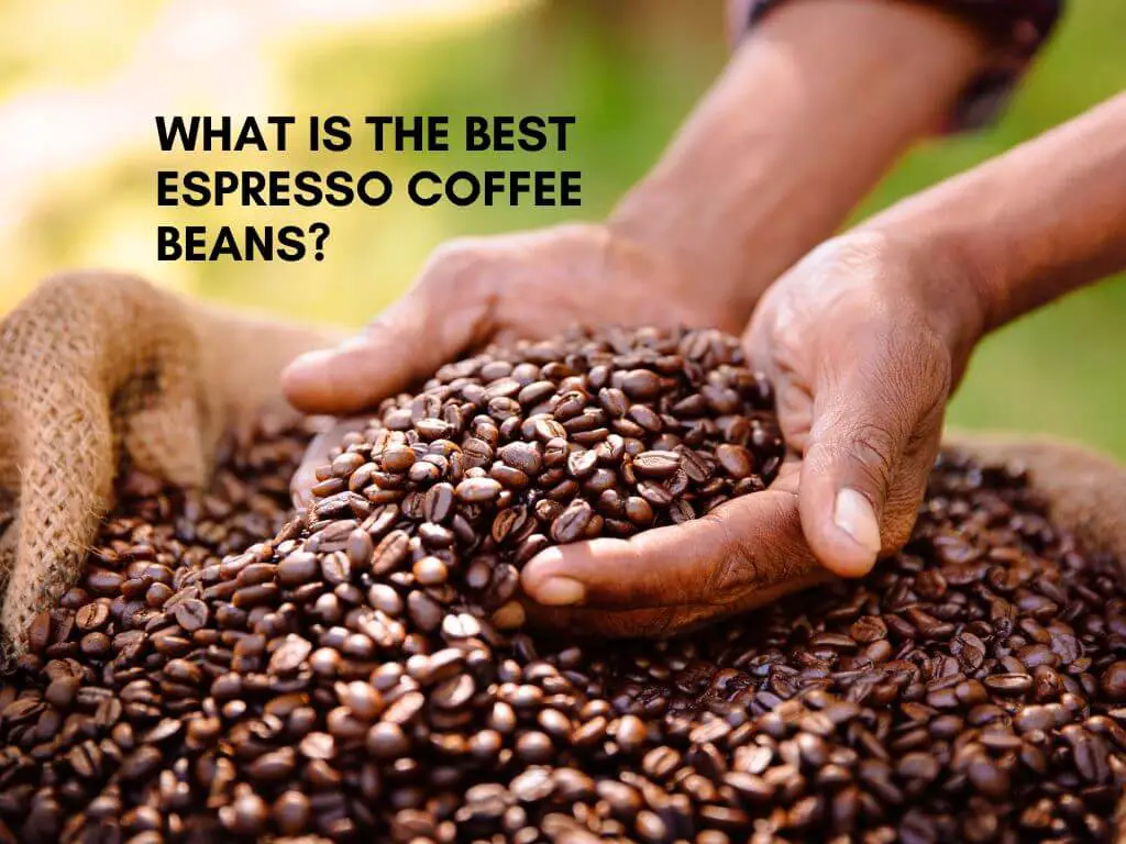 What is the Best Espresso Coffee Beans? Expert Picks You’ll Love