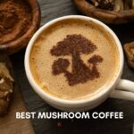 Best Mushroom Coffee