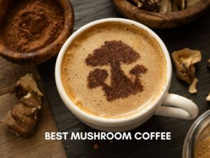 Best Mushroom Coffee