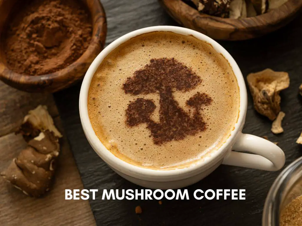 Best Mushroom Coffee