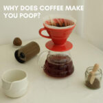 Why Does Coffee Make You Poop