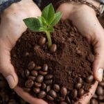 Are Coffee Grounds Good for Plants
