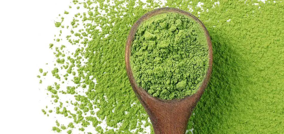 how to use matcha powder