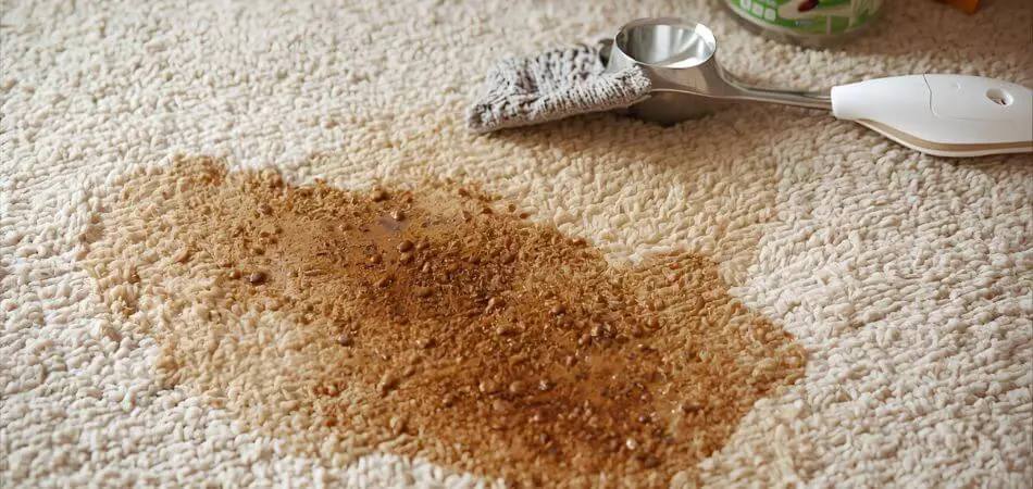 How to Get Coffee Out of Carpet Without Damaging It