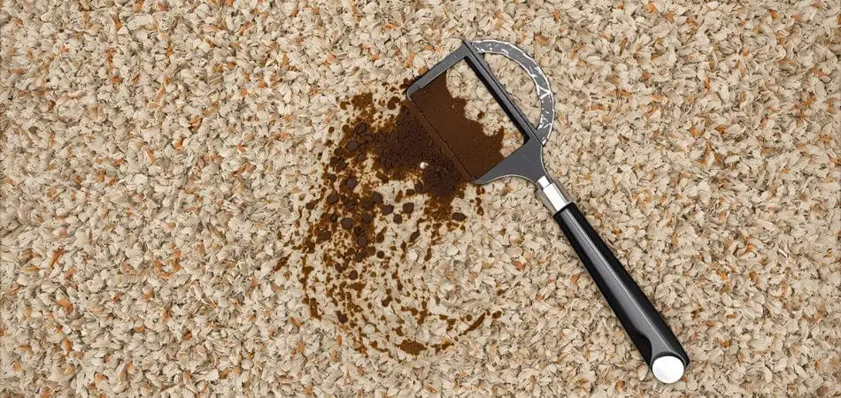 How to Get Coffee Out of Carpet Without Damaging It