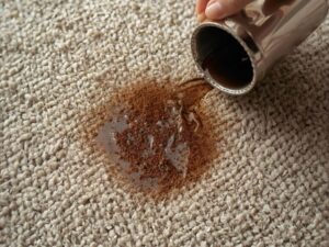 How to Get Coffee Out of Carpet Without Damaging It