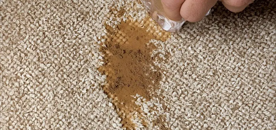 How to Get Coffee Out of Carpet Without Damaging It