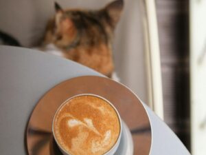 Can Cats Have Coffee