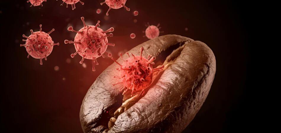 does coffee cause cancer