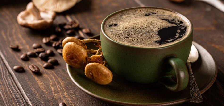 Mushroom Coffee Benefits