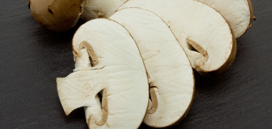 Mushroom Coffee Benefits