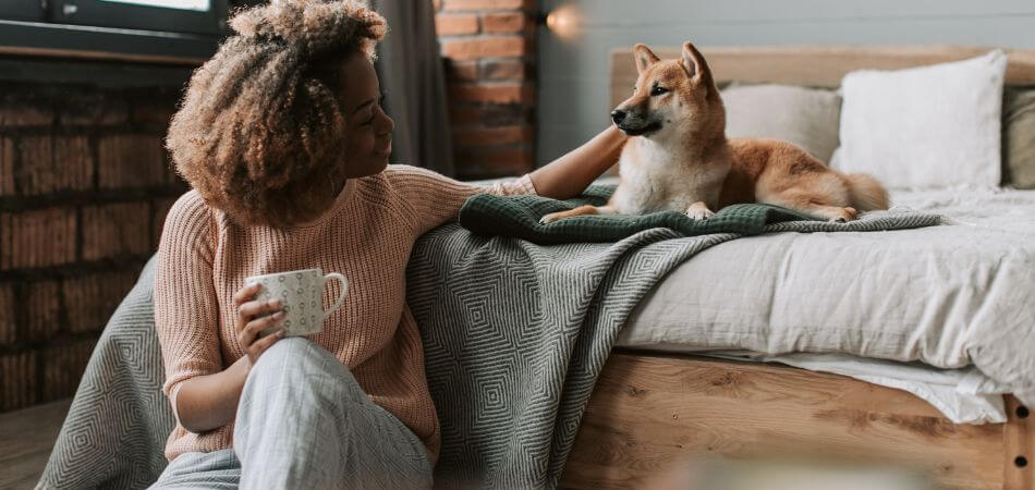 Coffee Toxicity in Pets